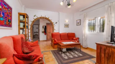 Villa in Canillas de Aceituno photo 12