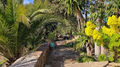 Rustic Finca in Villanueva de la Concepción photo 11