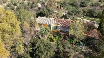 Rustic Finca in Villanueva de la Concepción photo 4