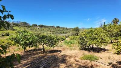Rustic house in Pizarra photo 13