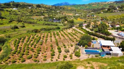 Rustic house in Pizarra photo 14