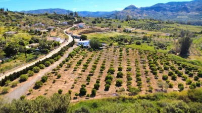 Rustic house in Pizarra photo 15