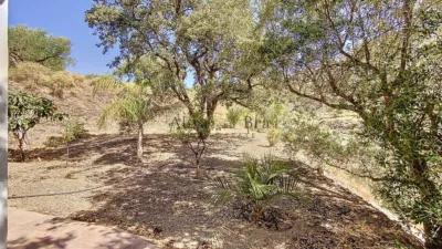 Villa in Canillas de Aceituno photo 19