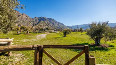 Rustic property in Nigüelas photo 106