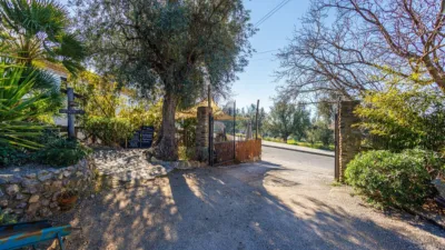Rustic property in Nigüelas photo 107
