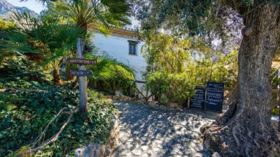 Rustic property in Nigüelas photo 112