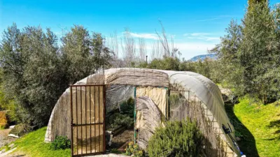 Rustic property in Nigüelas photo 114