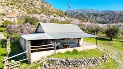 Rustic property in Nigüelas photo 116