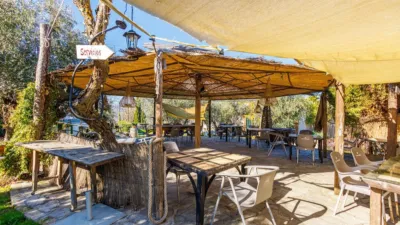 Rustic property in Nigüelas photo 48