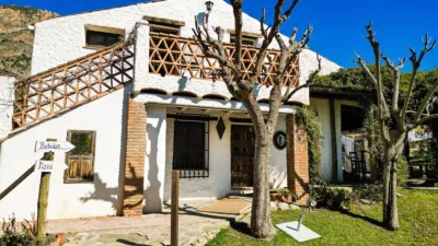 Rustic property in Nigüelas photo 52