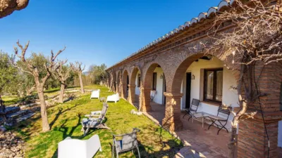 Rustic property in Nigüelas photo 76