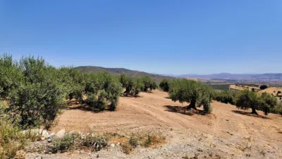 Rustic house in Casarabonela photo 11