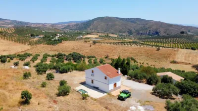 Rustic house in Casarabonela photo 12