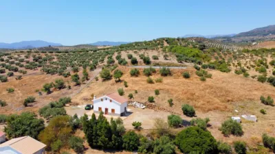 Rustic house in Casarabonela photo 13