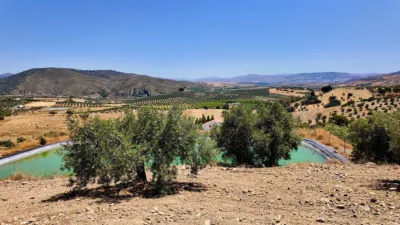 Rustic house in Casarabonela photo 4