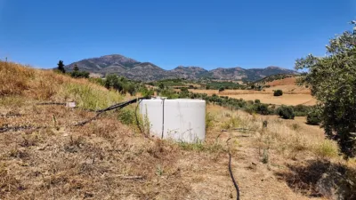 Rustic house in Casarabonela photo 6