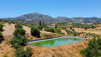Rustic house in Casarabonela photo 7