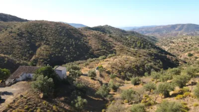 Rustic house in Canillas de Aceituno photo 14