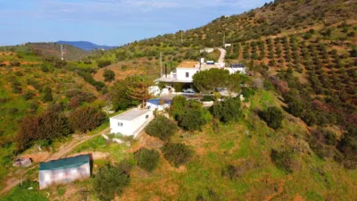 Rustic House in Pizarra photo 14