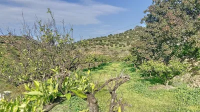 Rustic House in Pizarra photo 15