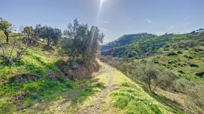 Rustic House in Pizarra photo 18