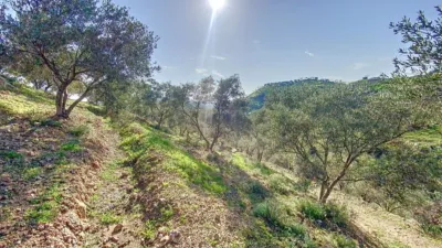 Rustic House in Pizarra photo 19