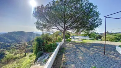 Rustic House in Pizarra photo 9