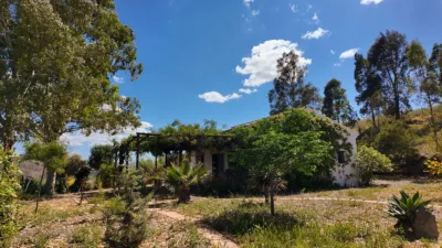 Rustic house in Álora photo 22