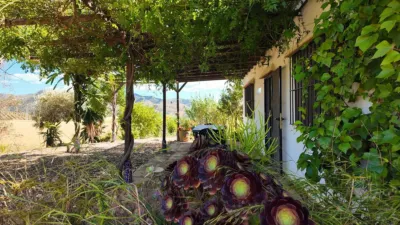 Rustic house in Álora photo 24