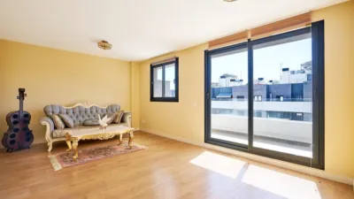 Duplex Penthouse in Seghers photo 8