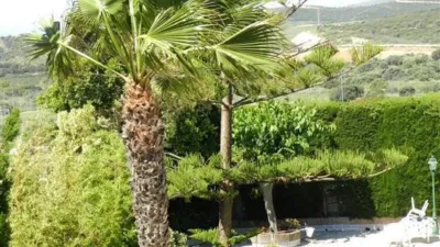 House in Costa Natura photo 37
