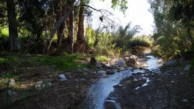 Rustic Finca in Casarabonela photo 15