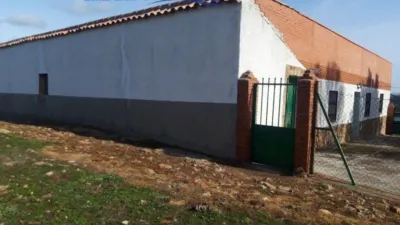 Miniatura 9