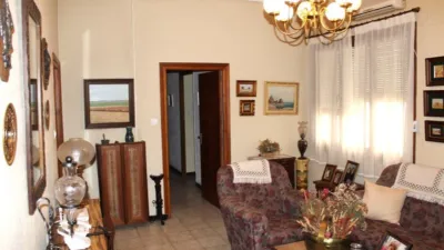 Miniatura 10