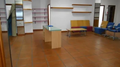 Miniatura 11