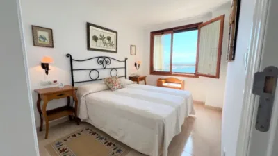 Pis – Torrevieja, San Roque - Vista 3