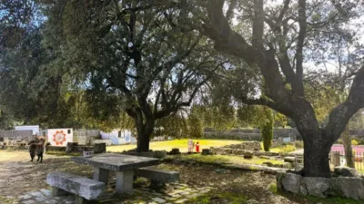 Rustic finca on Calle Calle photo 7
