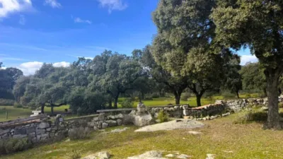 Rustic finca on Calle Calle photo 38