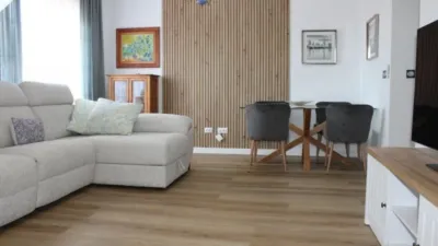 Duplex penthouse on Fernando Sánchez Agüera Street photo 4