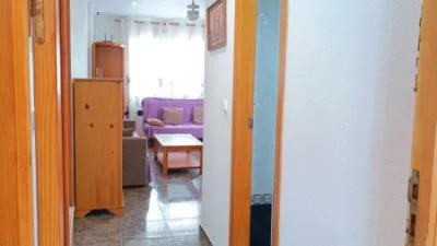Studio for sale at C. Vega Baja del Segura, 10 photo 8