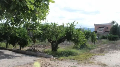 House on Camino de los Montoyas photo 22