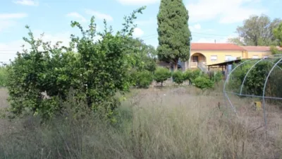House on Camino de los Montoyas photo 23