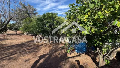 Chalet in Chiva photo 7
