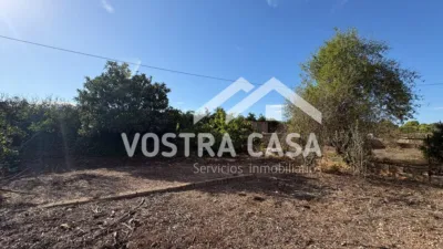 Chalet in Chiva photo 8