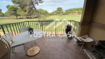 Apartment in El Bosque photo 9