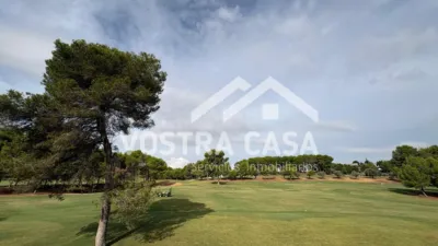 Apartment in El Bosque photo 14
