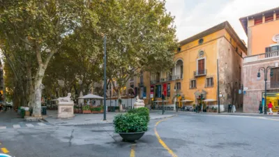 Apartment in Palma de Mallorca photo 19