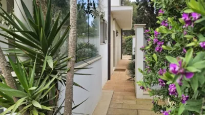Casa en alquiler en Sol de Mallorca-Portals Vells, Sol de Mallorca-Portals Vells (Calvià) de 9.000 €<span>/mes</span>