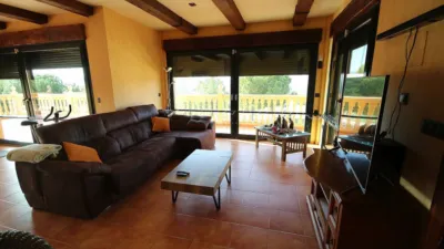 Chalet in Petrer photo 19