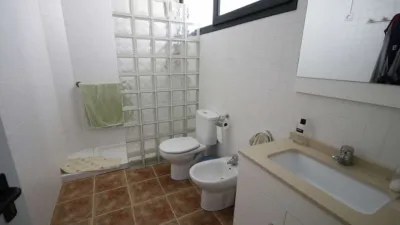 Chalet in Petrer photo 46